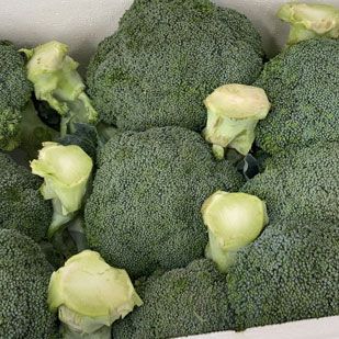 Brocoli